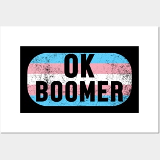 OK Boomer - Gen Z Transgender Pride Flag Posters and Art